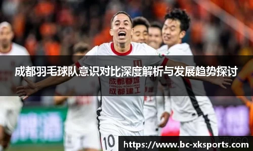 成都羽毛球队意识对比深度解析与发展趋势探讨