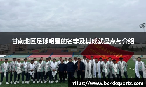 甘南地区足球明星的名字及其成就盘点与介绍